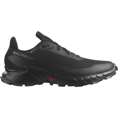 Salomon Alphacross 5 GTX M Velikost: 47 1/3 EUR